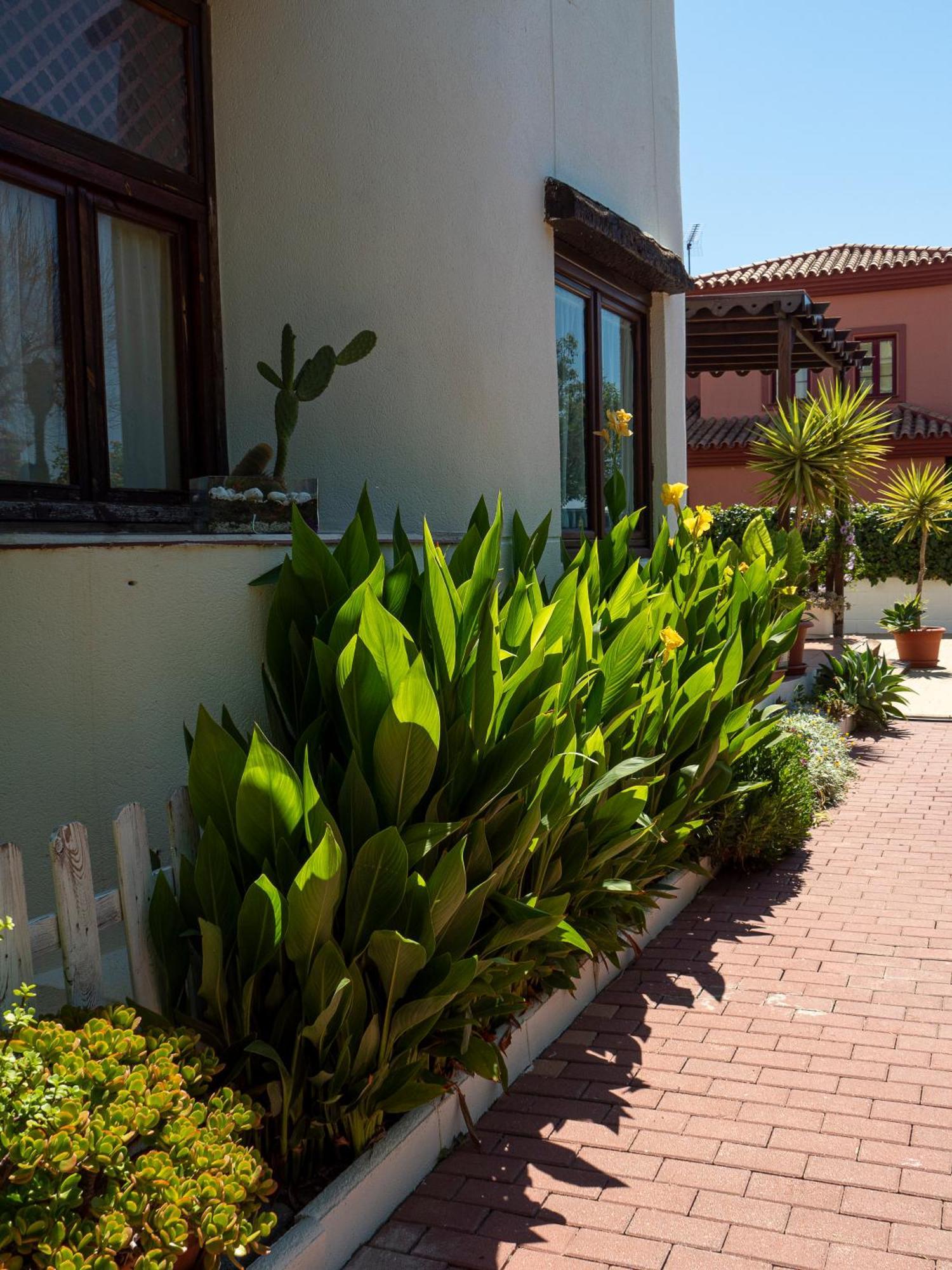 Villa Ibicenca Love Benalmádena Εξωτερικό φωτογραφία